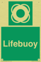 lifebuoy-with-symbol~